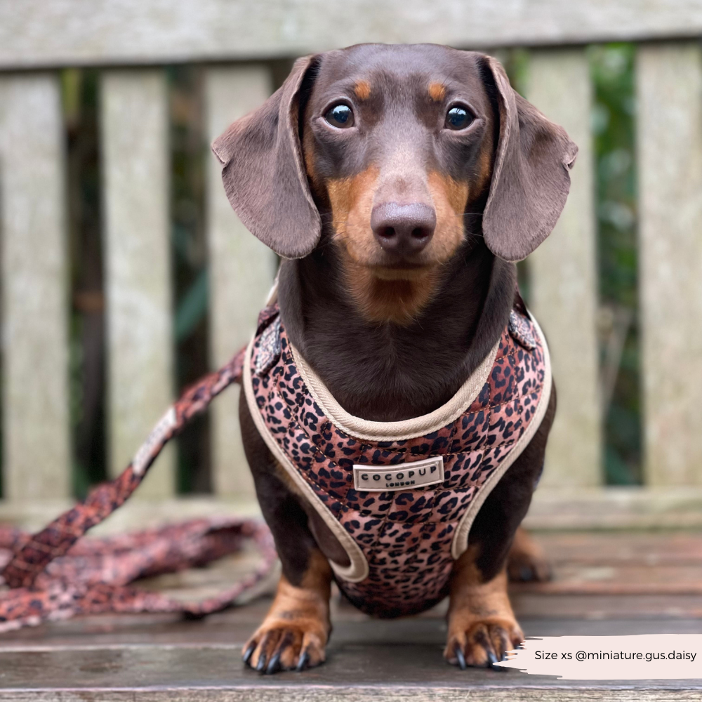 Cocopup London - Quilted Leopard Pup Lead