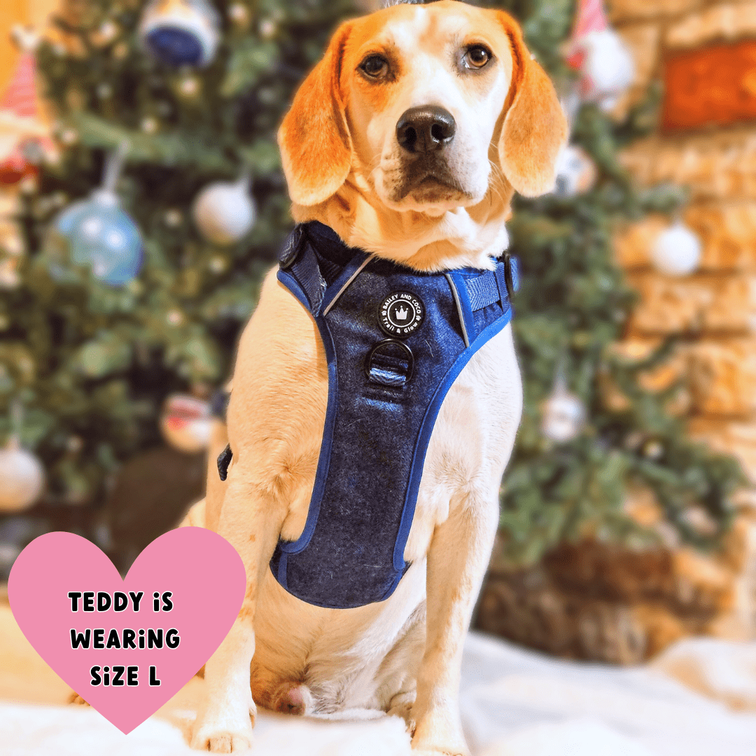 Bailey and Coco - Trail & Glow Tweed Dog Harness - Sapphire Tweed