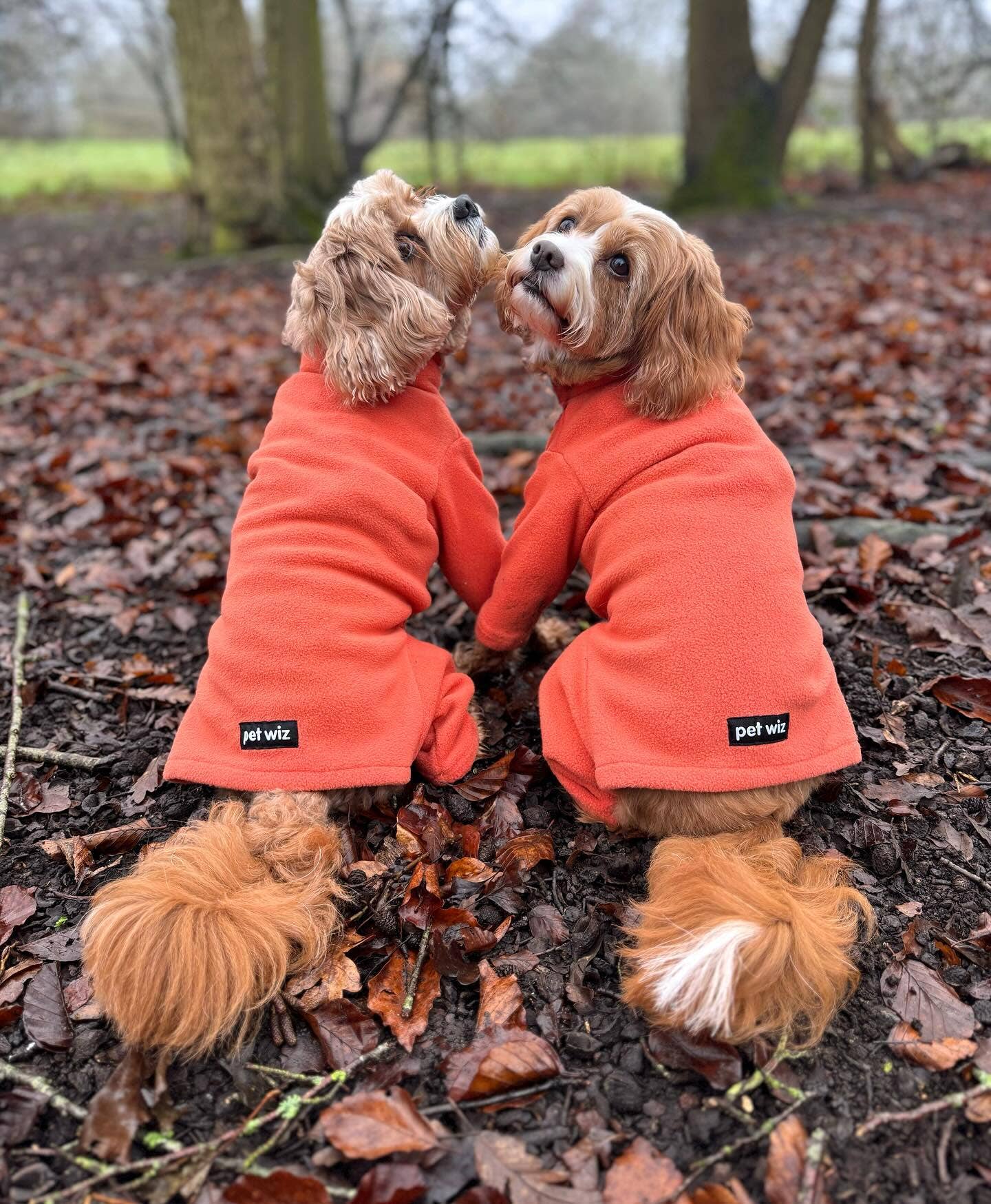 Pet Wiz - Four Legged Dog Fleeces - Wide Range of Sizes & Colours