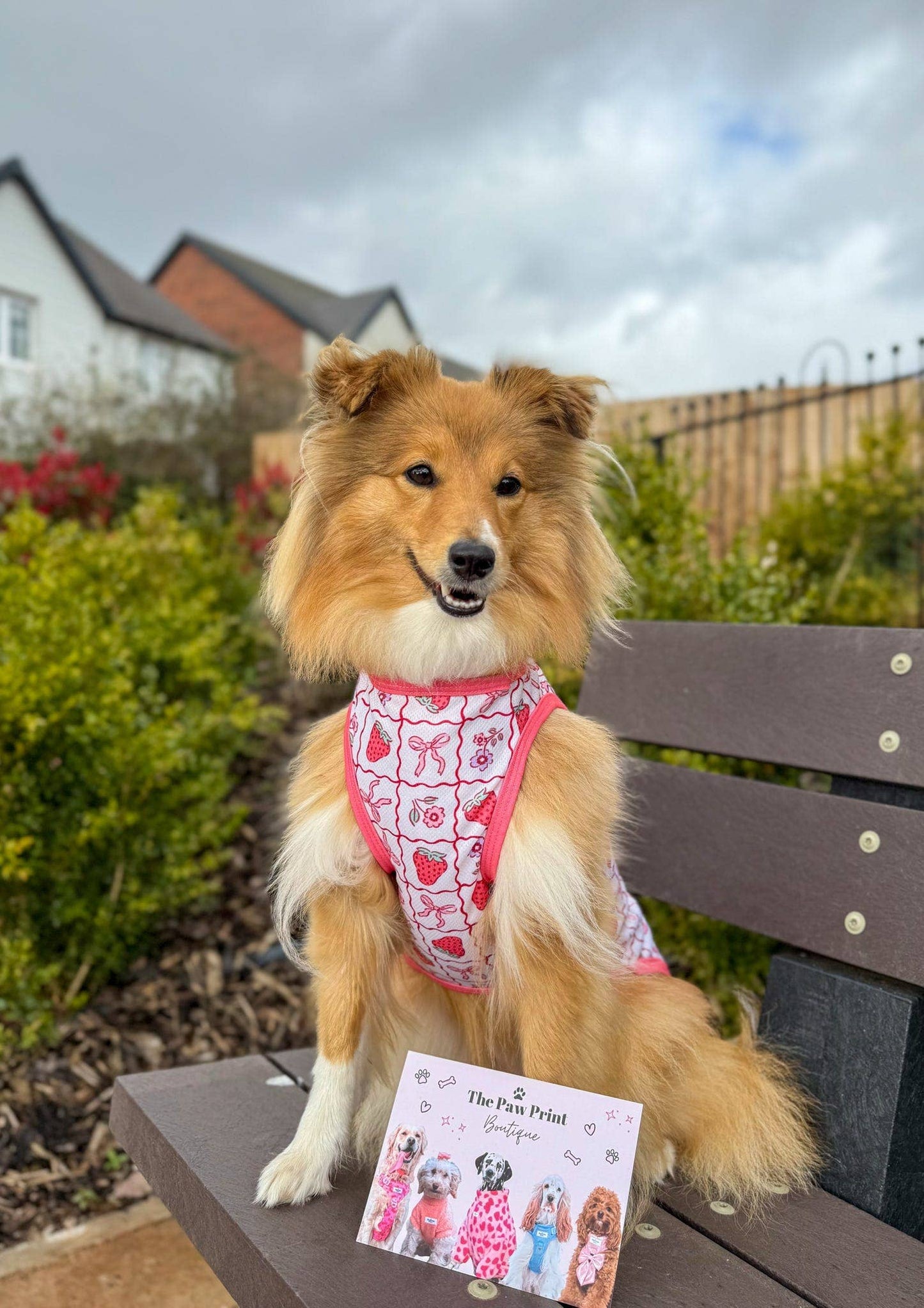 The Paw Print Boutique - The Bows & Berries Cooling Vest