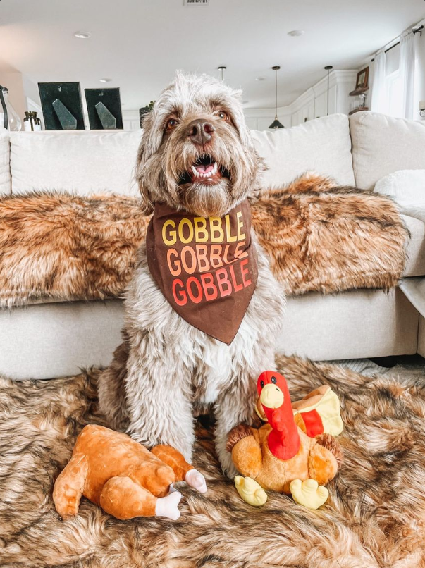 Midlee Designs - Midlee Roasted Thanksgiving Turkey Plush Dog Toy