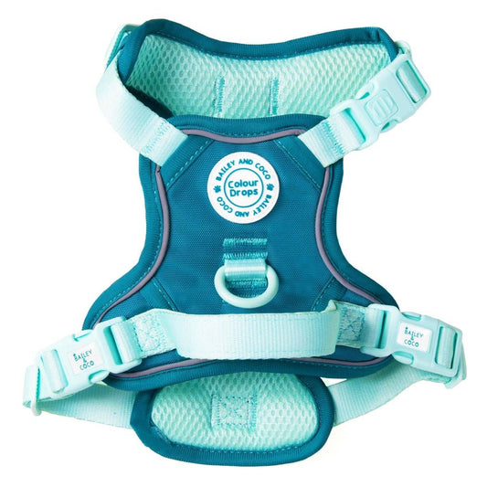 Bailey and Coco - Trail & Glow Dog Harness - COLOUR DROPS® - Ice Teal