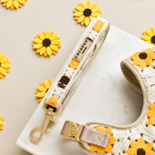 Cocopup London - Sunflower Patch Lead