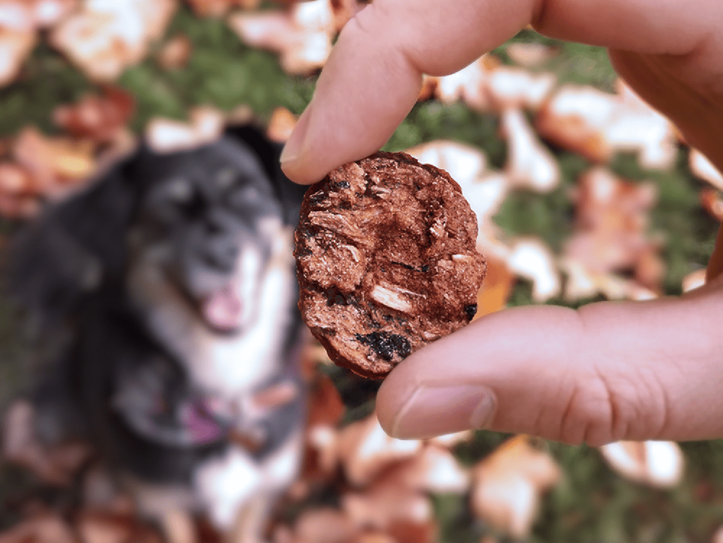 Goodchap's - Mrs Cook's Fish Cakes | Natural Dog Treats 