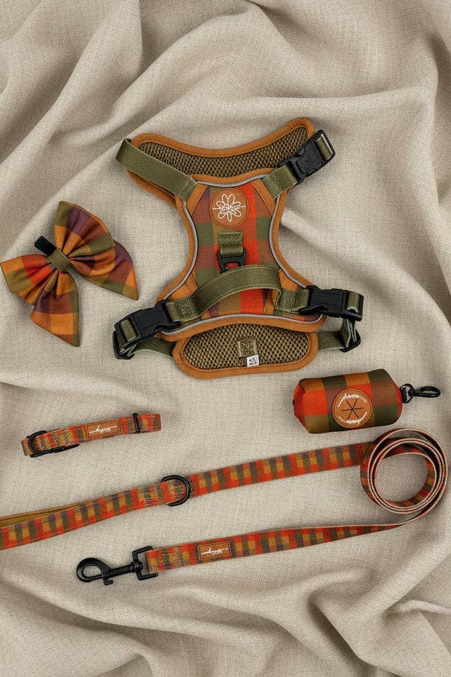 Oh, paw-lease! - Burnham Weave - Core Memory 3 Click Harness