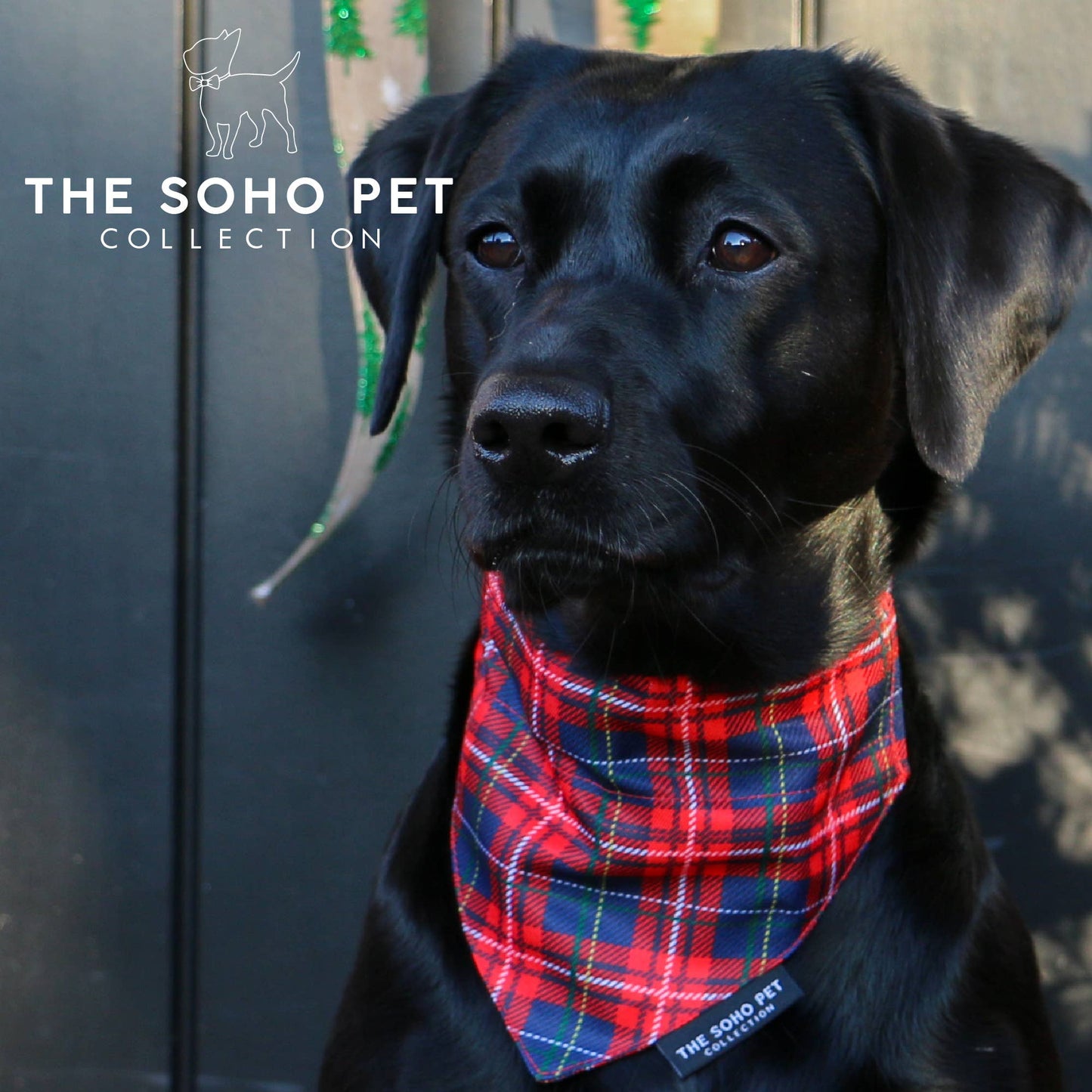 Ancol Pet Products Ltd - Soho Collection Patterned Bandana- Tartan/ Star