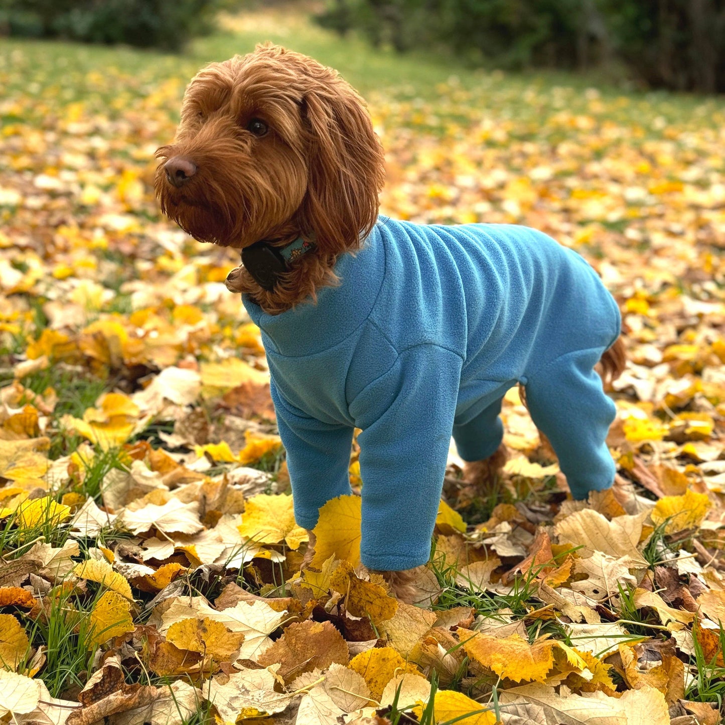 Pet Wiz - Four Legged Dog Fleeces - Wide Range of Sizes & Colours