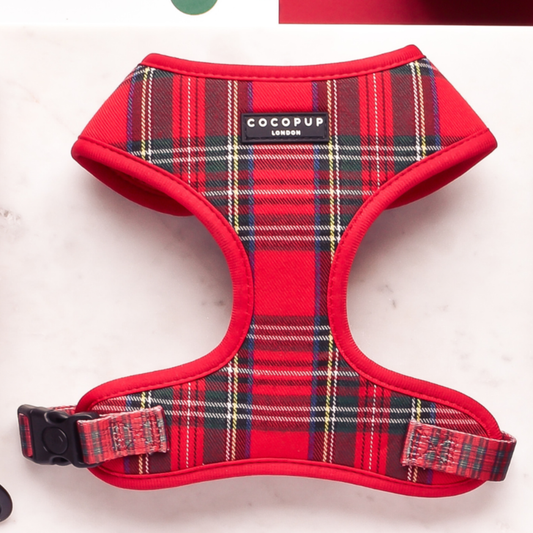 Cocopup London - Tartan Adjustable Neck HARNESS