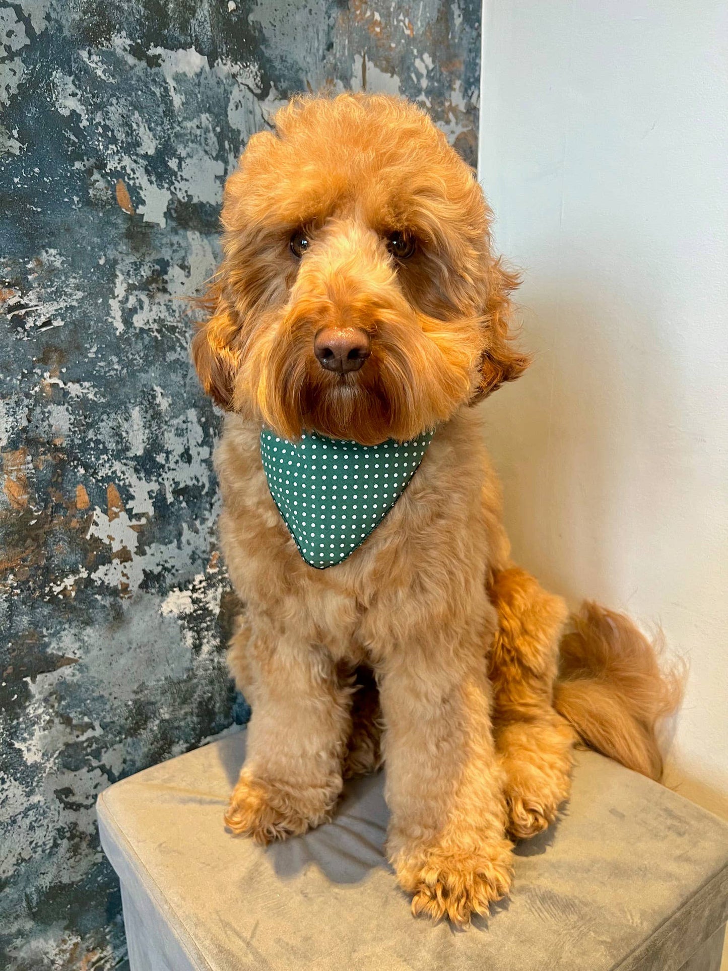 Pet Pooch Boutique - Antique Green Polka Dot Dog Bandana (classic) - Handmade