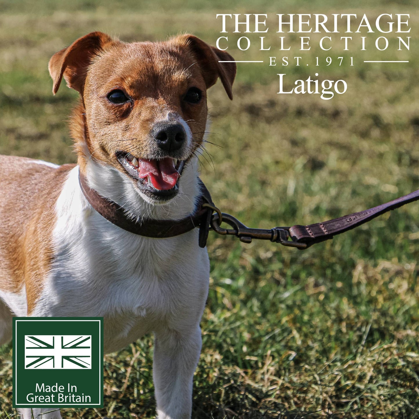 Ancol Pet Products Ltd - Latigo Leather Lead 100cm x 1.9cm
