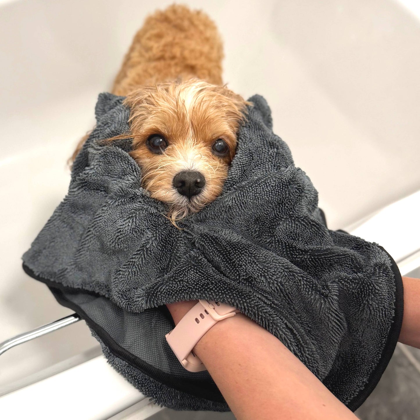 Pet Wiz - Fast Drying Loop Towel for Dogs