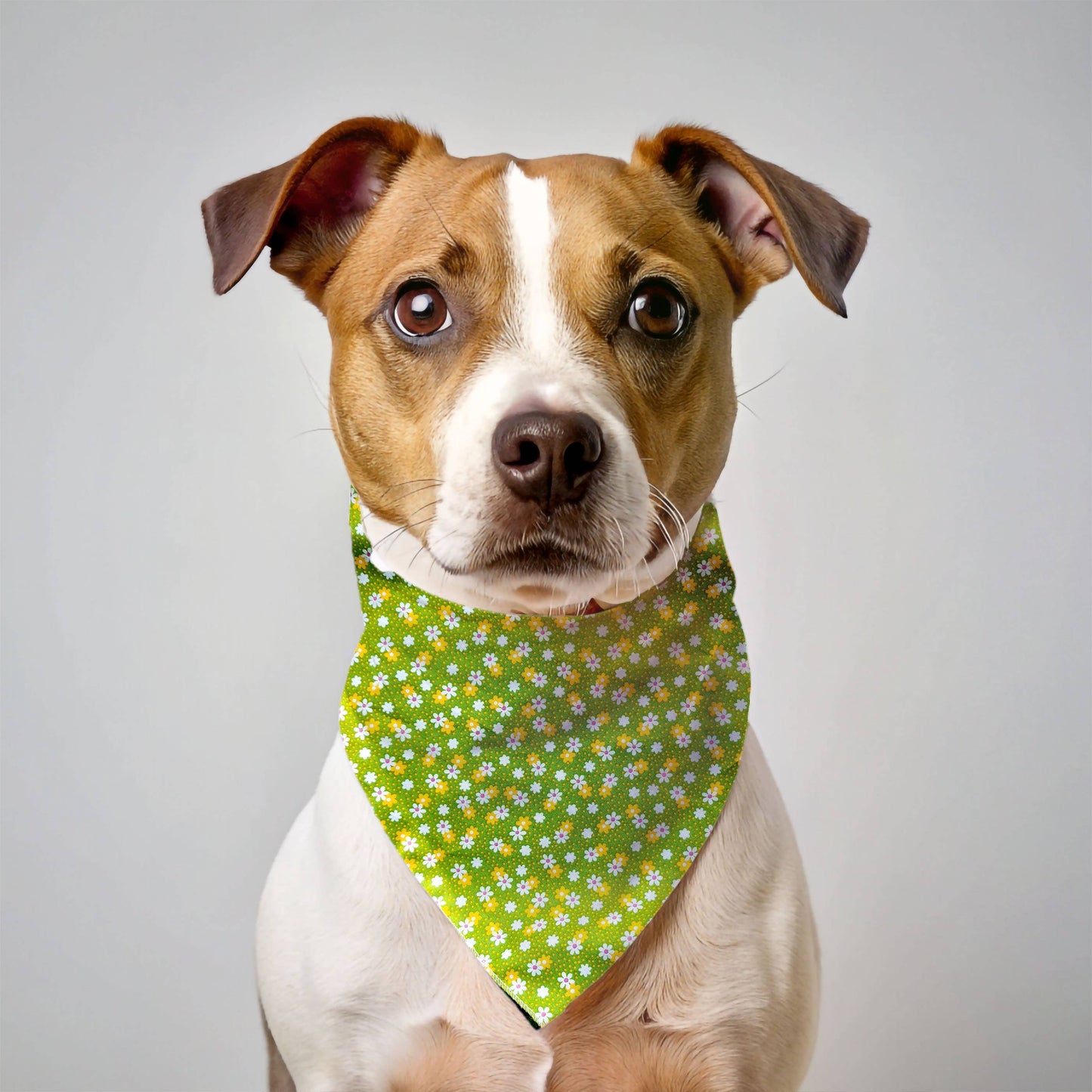 Pet Pooch Boutique - Golden Green Daisy Floral Dog Bandana (Flower) - Handmade