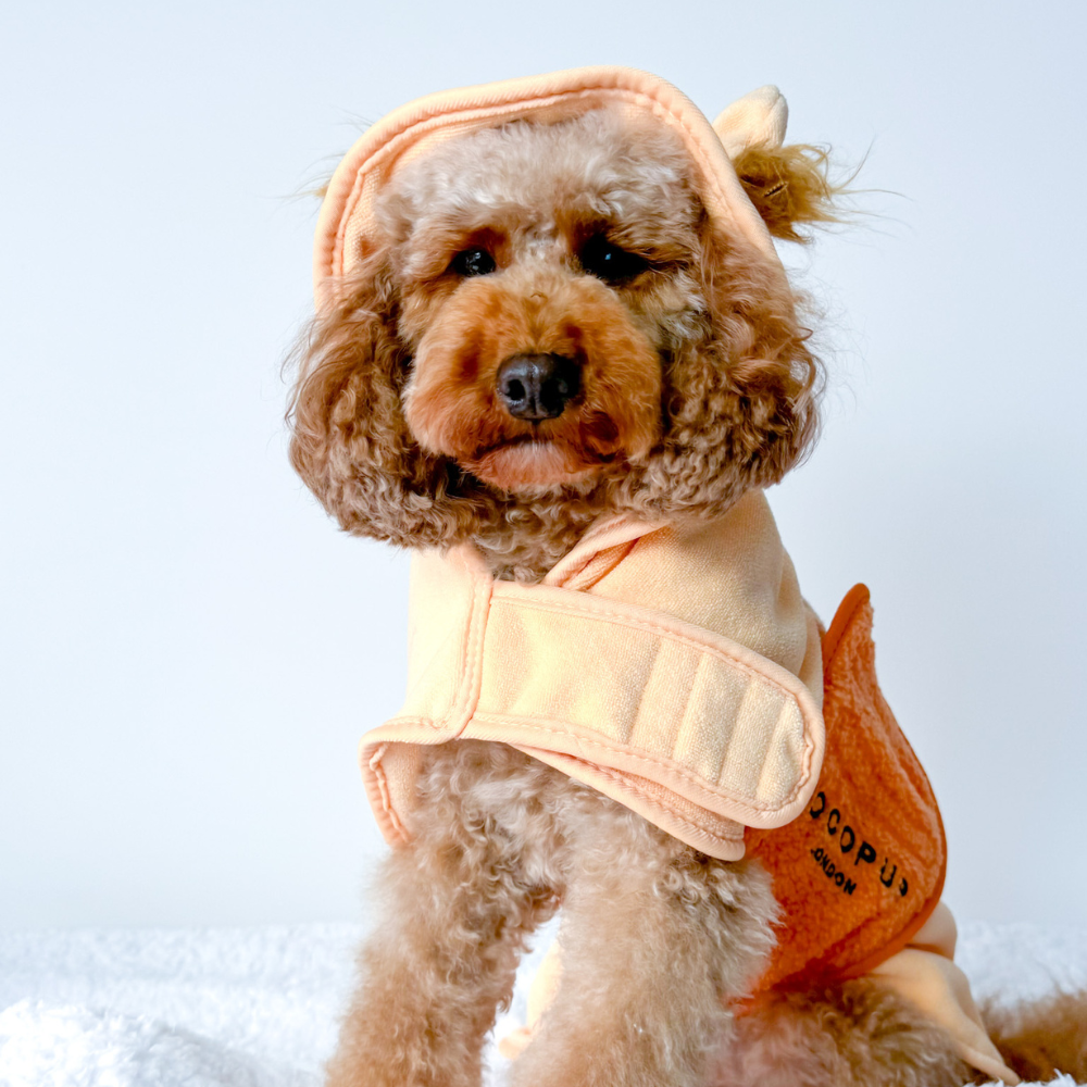 Cocopup London - Roary the Lion Drying Robe