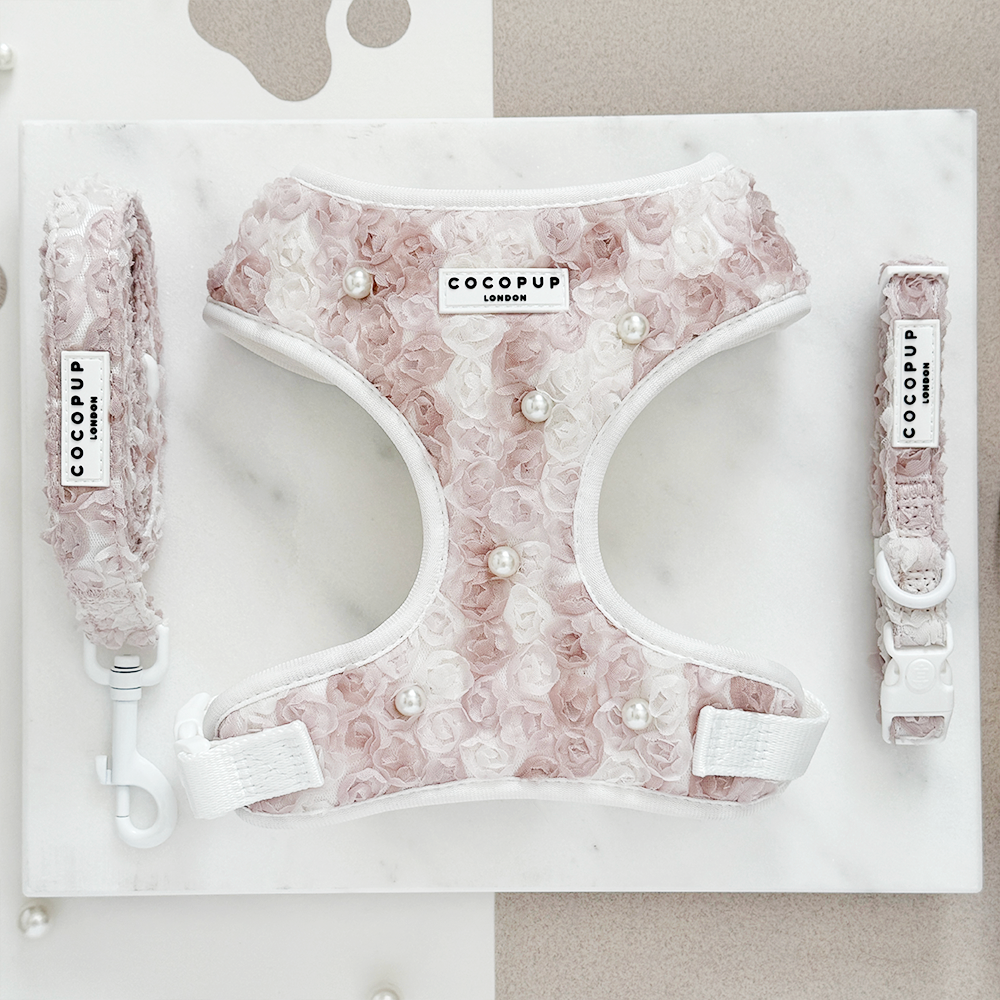 Cocopup London - Pearly Pup COLLAR