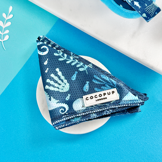 Cocopup London - Sea Life Pawty Bandana