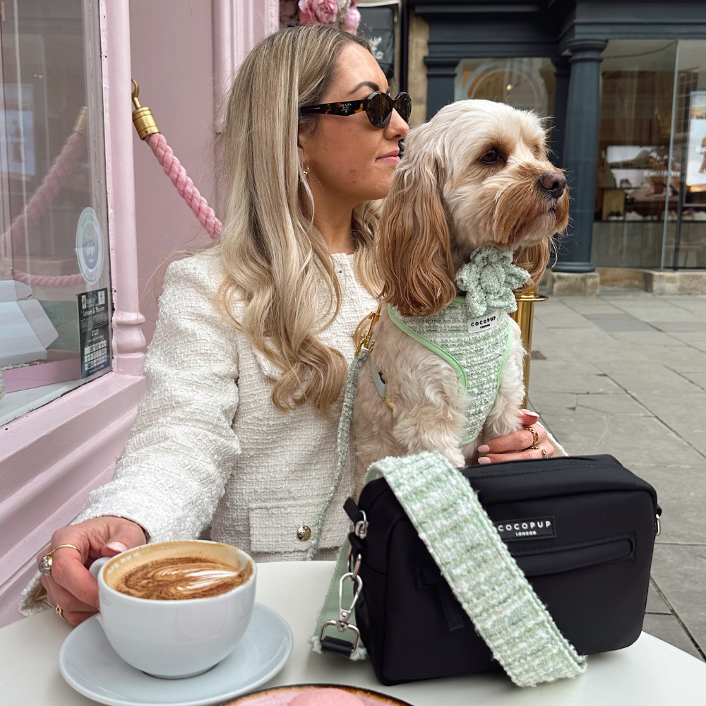 Cocopup London - Matcha Textured Tweed Collar Flower