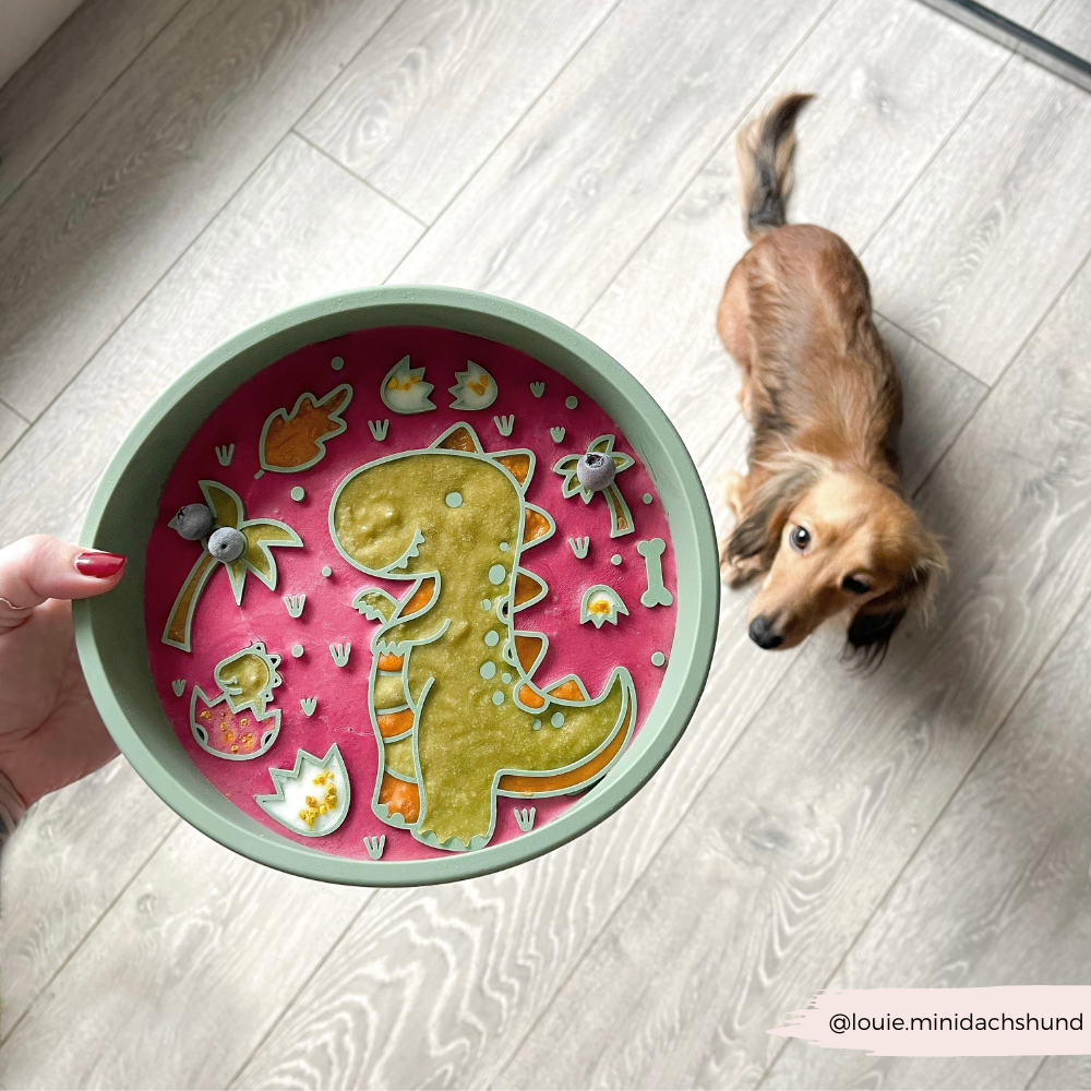 Cocopup London - Silicone Slow Feed Dog Bowl - Dinopaws