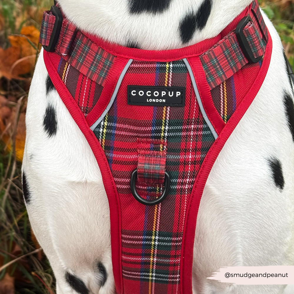 Cocopup London - Explore Harness - Tartan