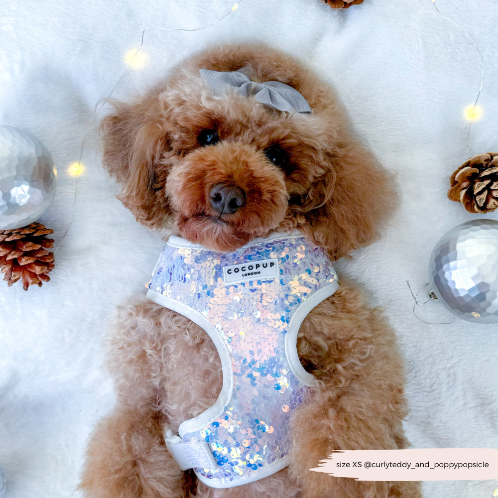 Cocopup London - LUXE Party Holographic Sequin HARNESS