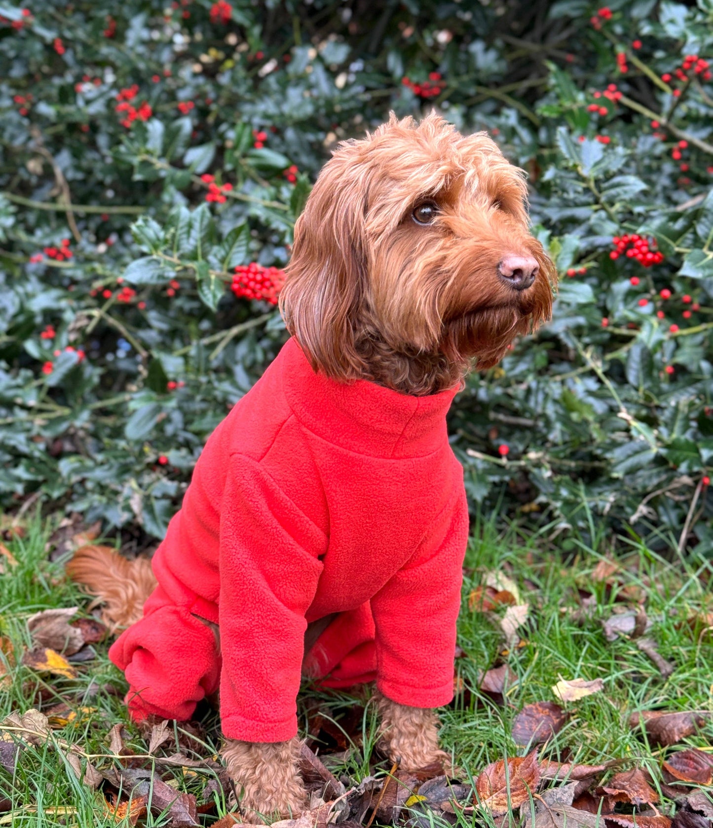 Pet Wiz - Four Legged Dog Fleeces - Wide Range of Sizes & Colours