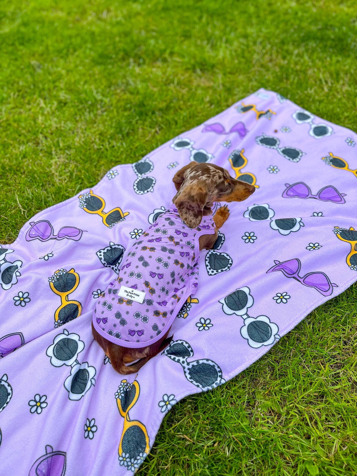 The Paw Print Boutique - The Sassy Sunnies Cooling Vest