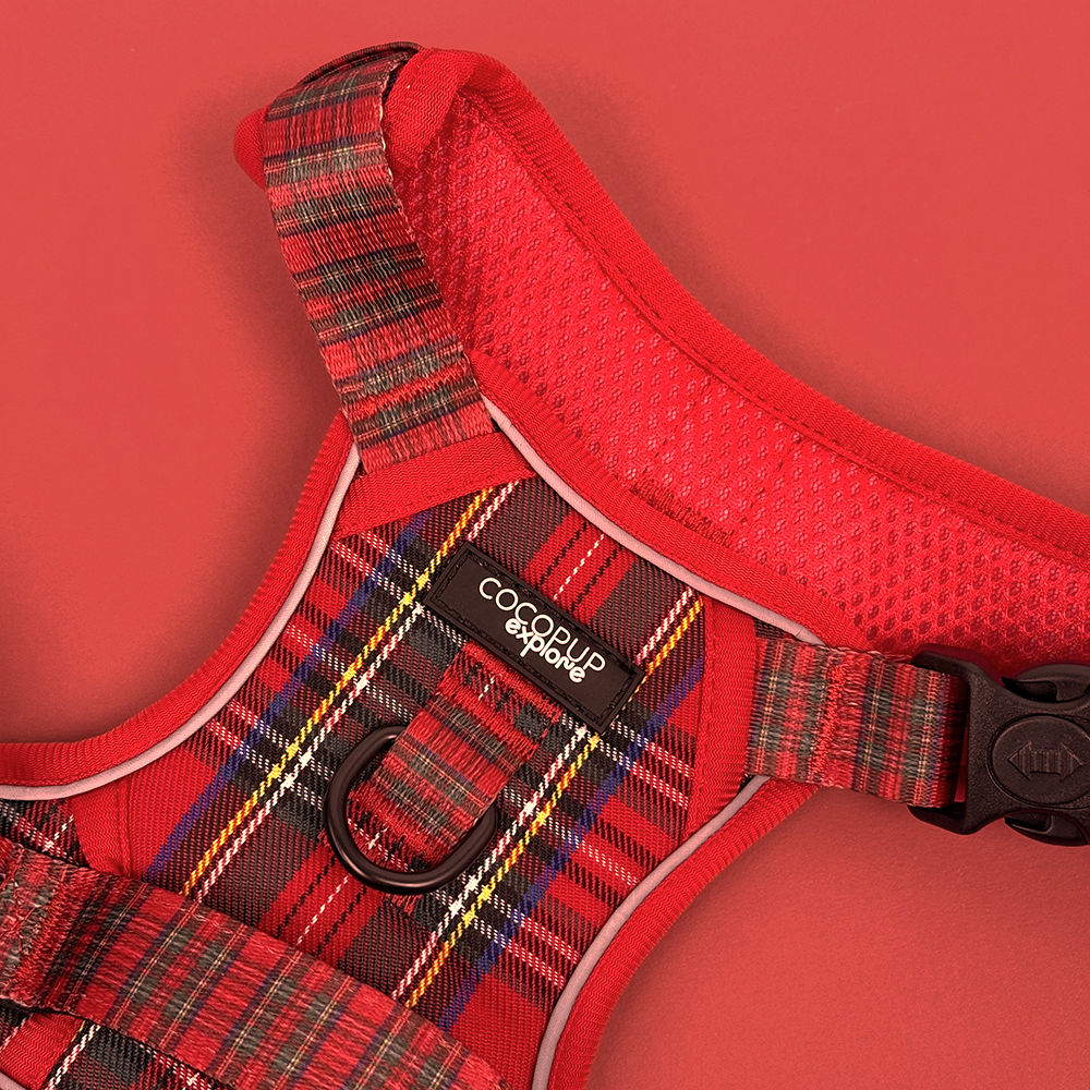 Cocopup London - Explore Harness - Tartan