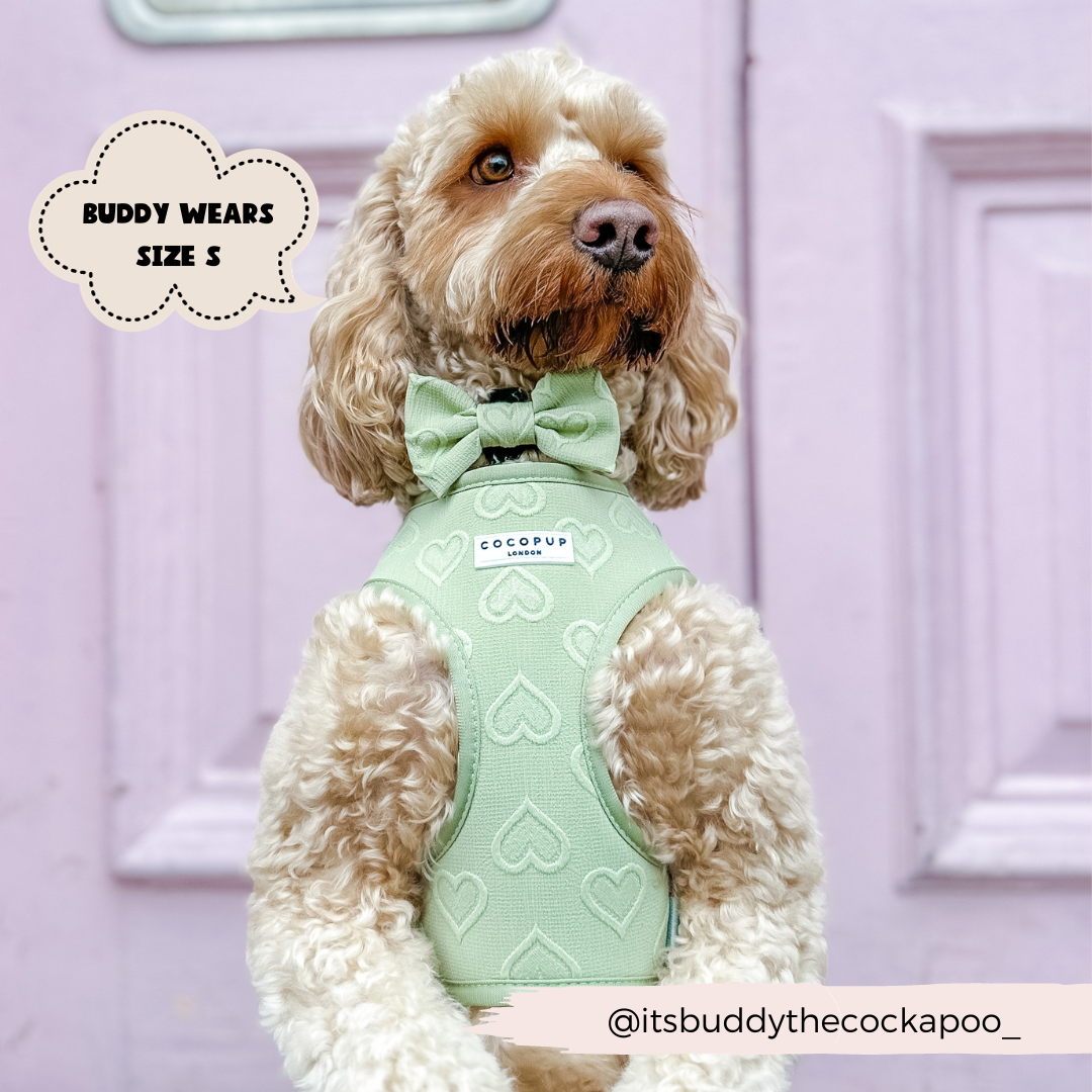 Cocopup London - Luxe Adjustable Neck Harness - Sage Heart