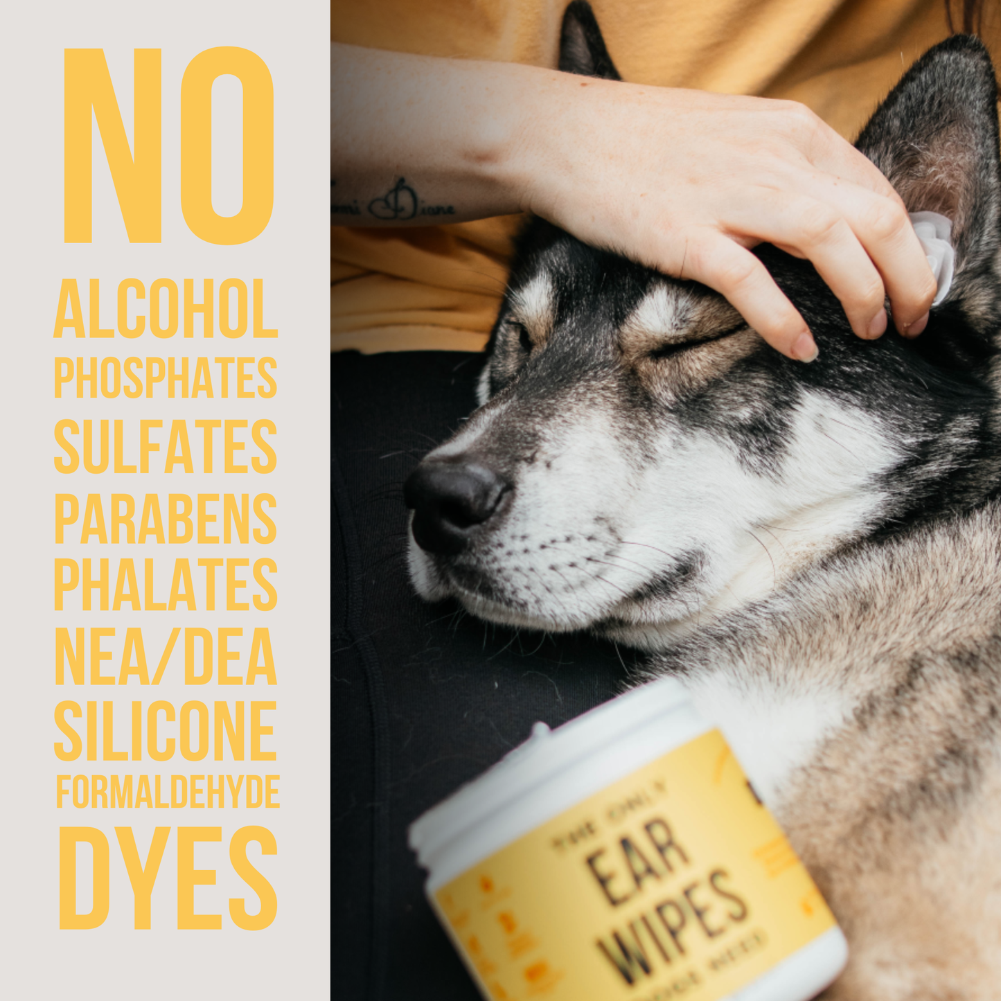 Natural Rapport - The Only Ear Wipes Dogs Need