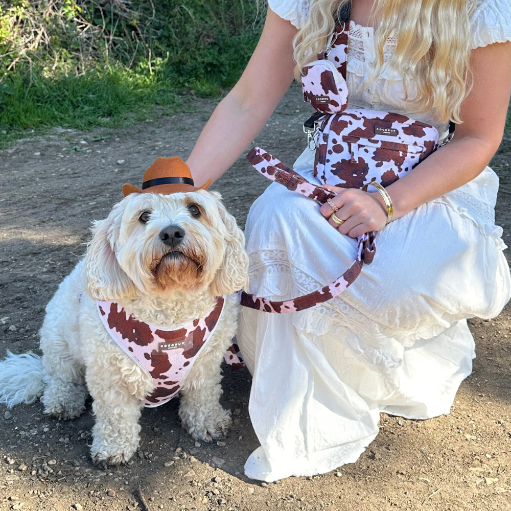 Cocopup London - Rodeo Pup Dog Hat