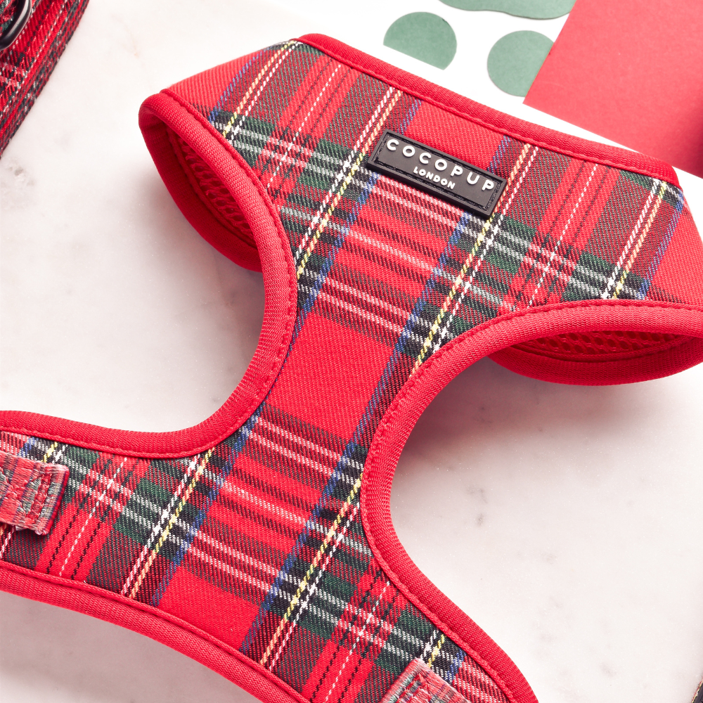 Cocopup London - Tartan Adjustable Neck HARNESS
