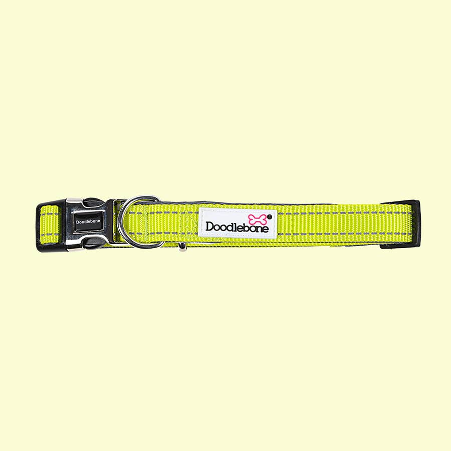 Doodlebone - Padded Dog Collar