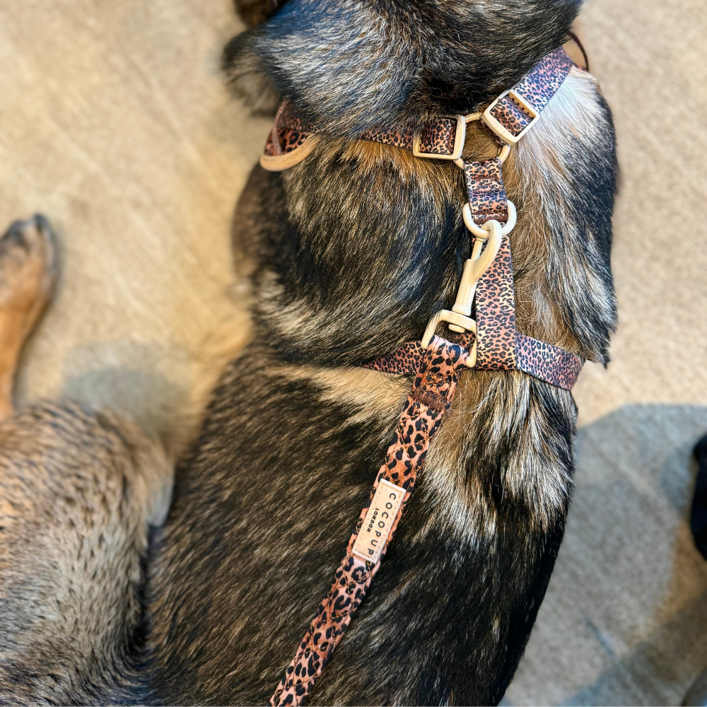 Cocopup London - Quilted Leopard Pup Lead