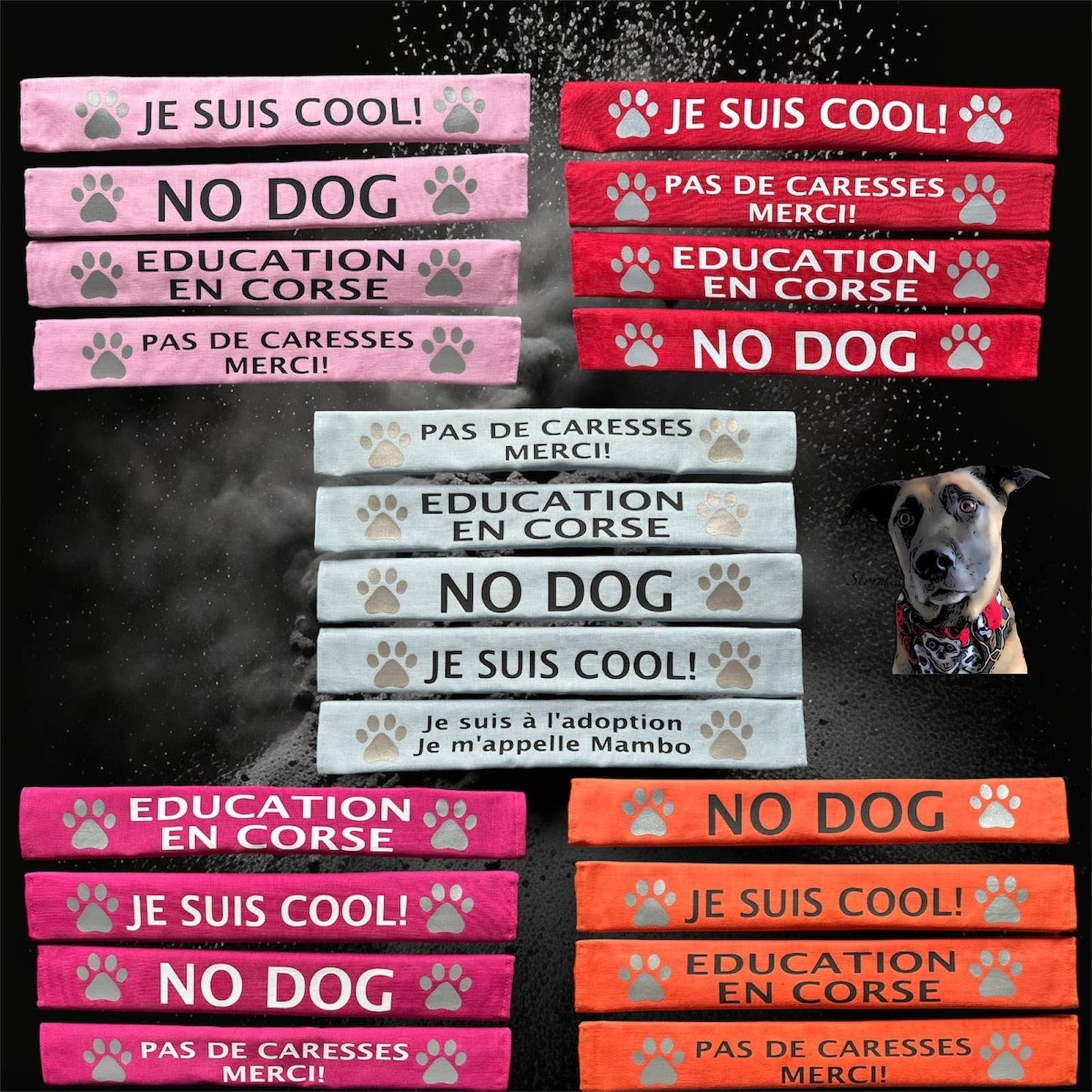 Storms Style - Lead Slips - Reactive, Nervous, Blind, Deaf, Friendly