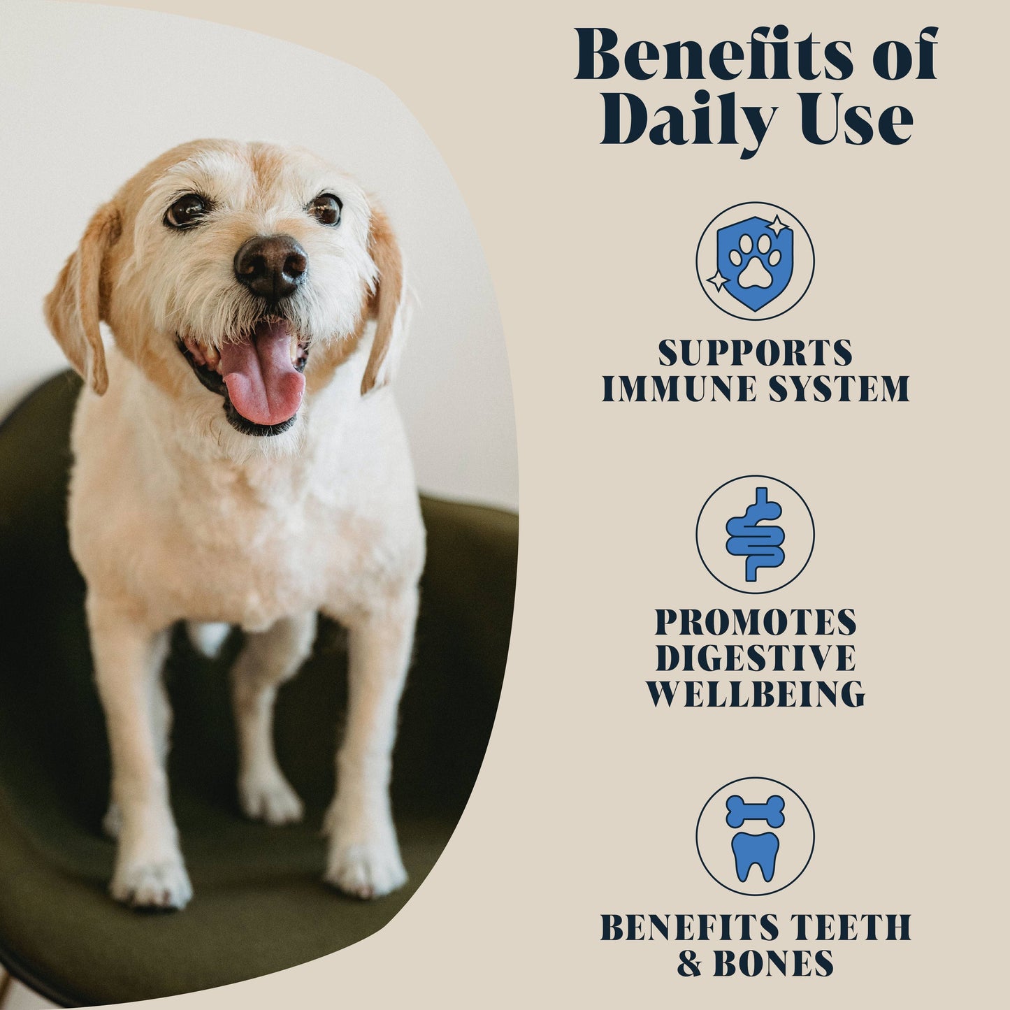 Goats Milk Powder for Dogs | *On offer end of august expiry*