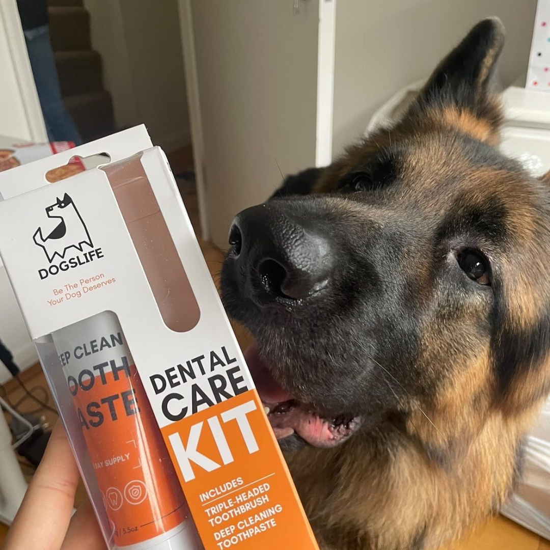 OurPetsLife - Dog Toothpaste and Toothbrush Set