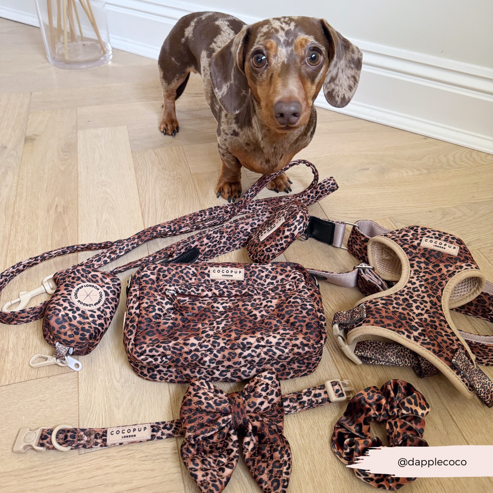 Cocopup London - Quilted Leopard Pup Lead