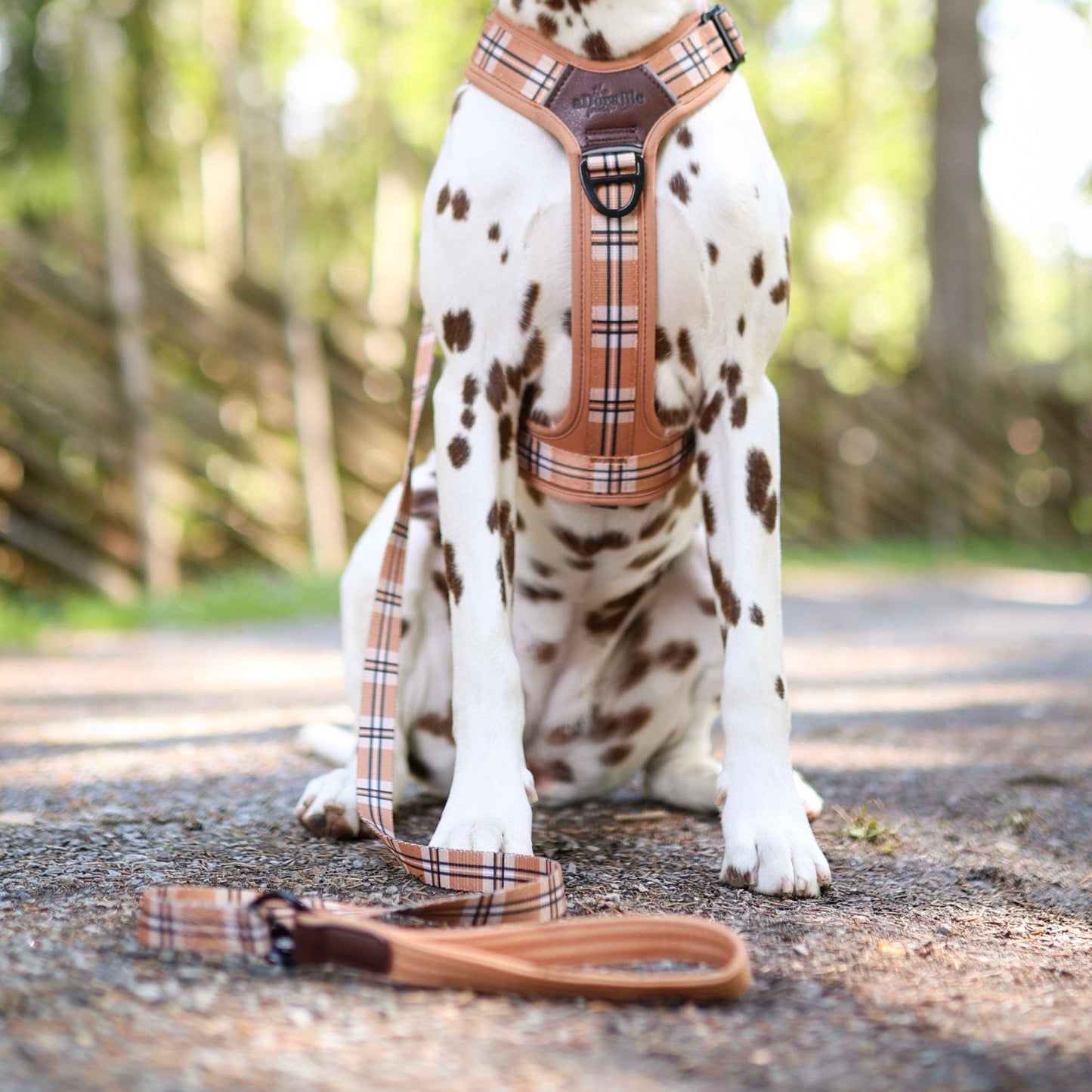 The aDoraBle Pooch Company - Heritage Dog Lead - Butterscotch Biscuit