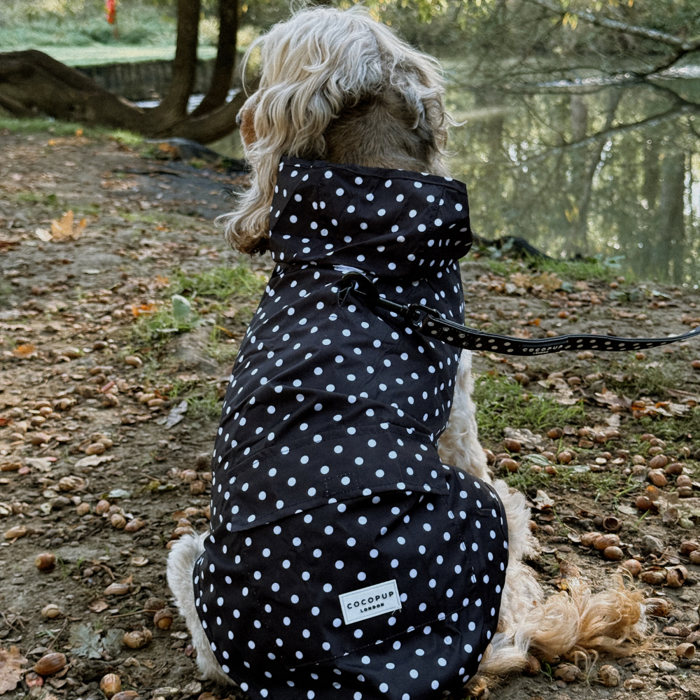 Cocopup London - Dog Raincoat - Black Polka Dot