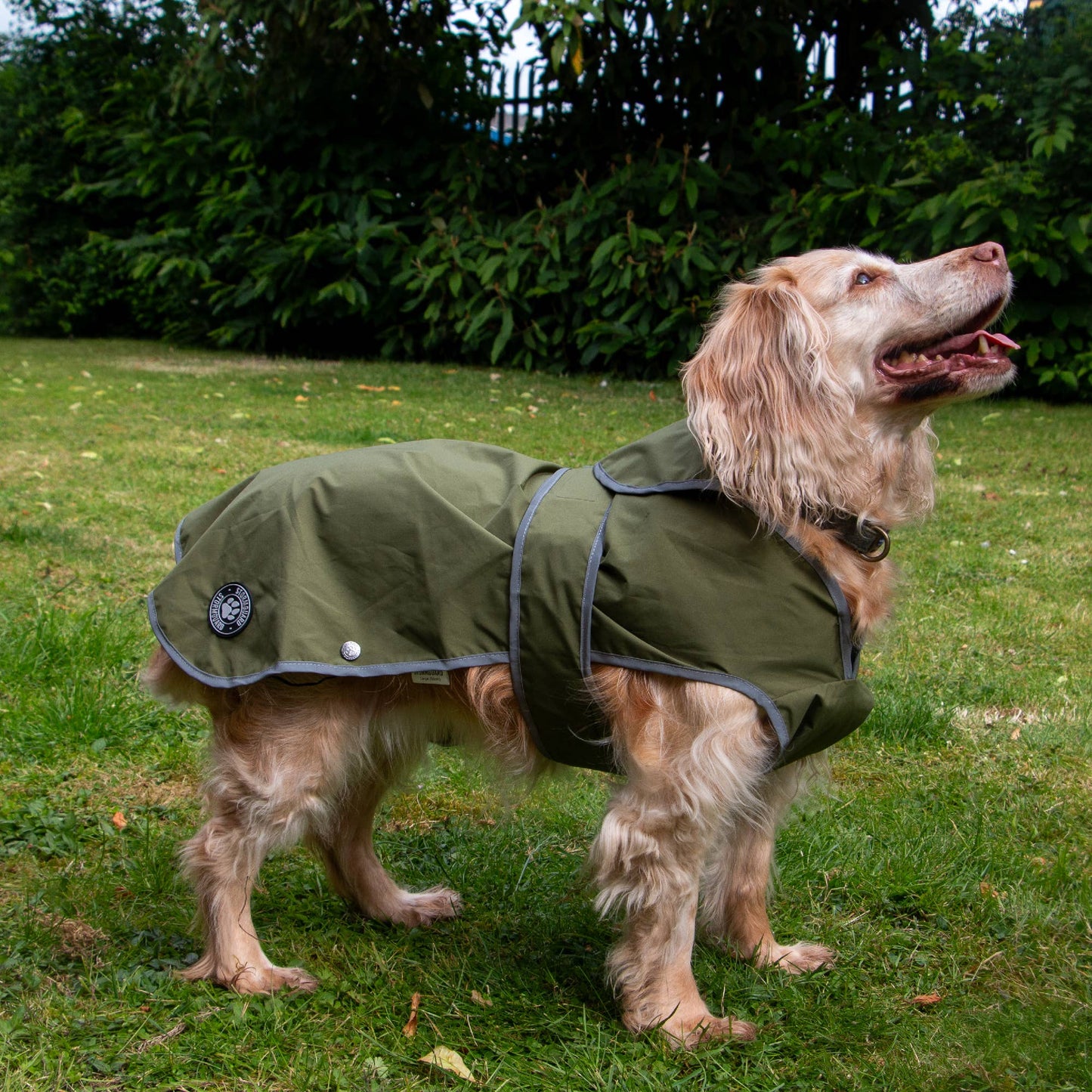 Ancol Pet Products Ltd - Stormguard Soft Shell  Dog Coat Khaki XS-XXL