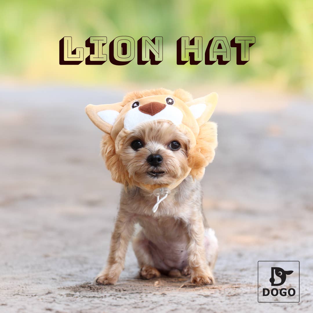 Lion Hat