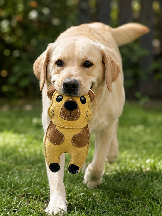 Miro & Makauri - Eco Dog Toys By Miro & Makauri - Carlos Capybara