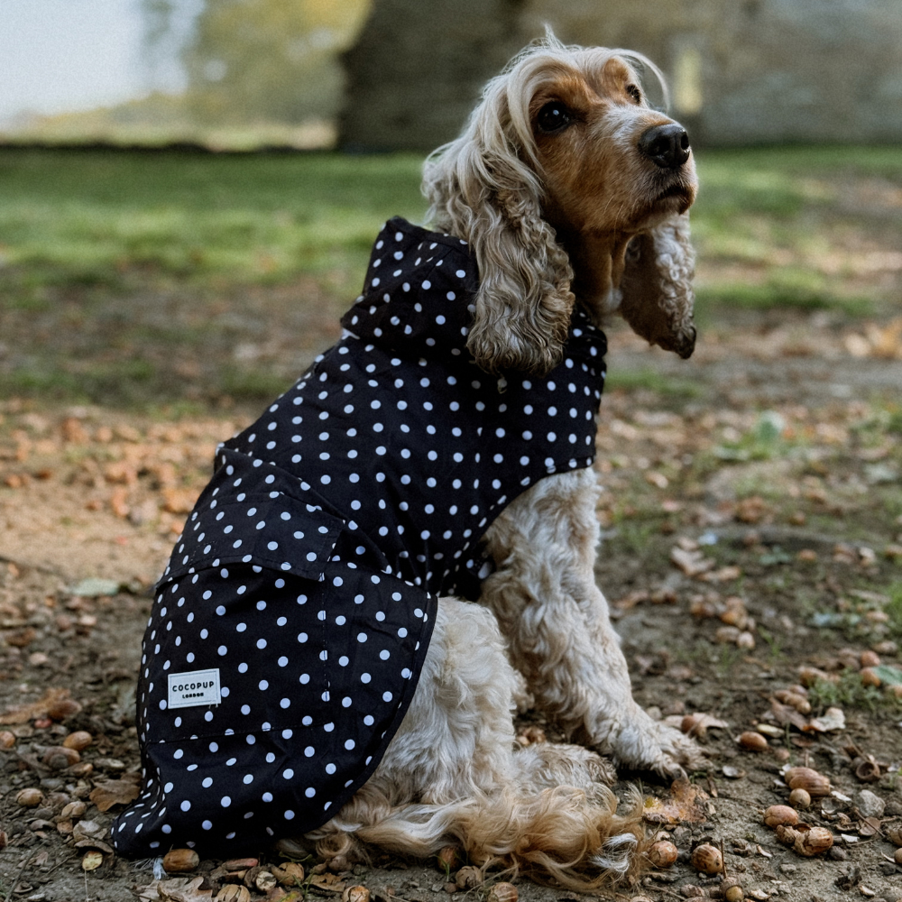 Cocopup London - Dog Raincoat - Black Polka Dot