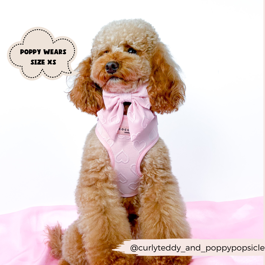 Cocopup London - Luxe Adjustable Neck Harness - Baby Pink Heart