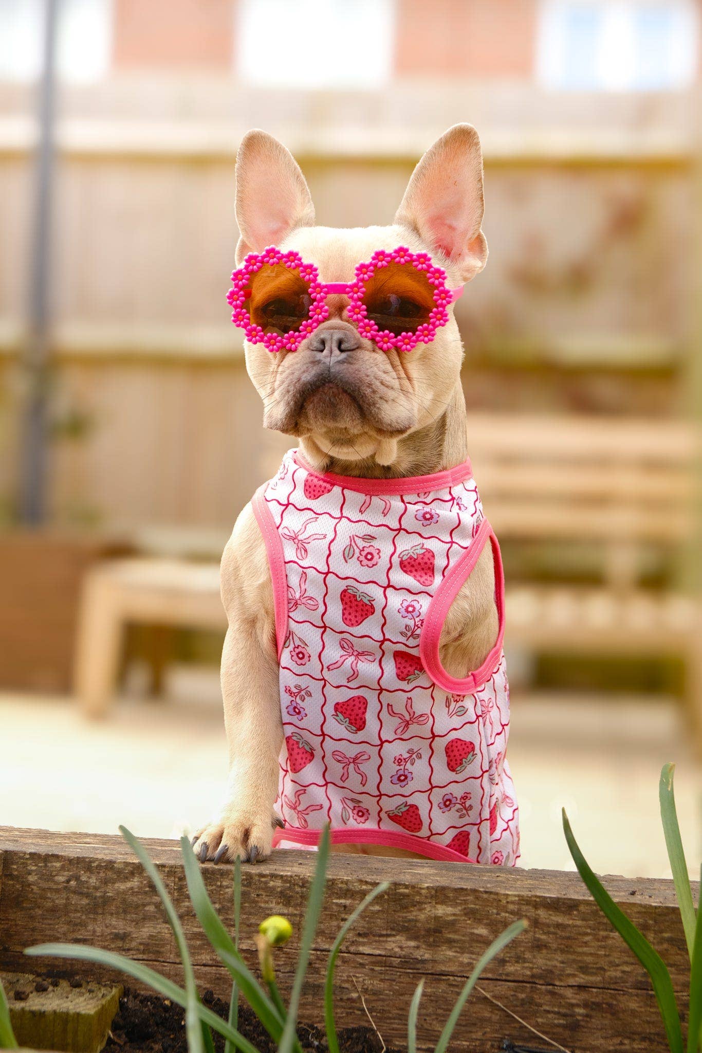 The Paw Print Boutique - The Bows & Berries Cooling Vest