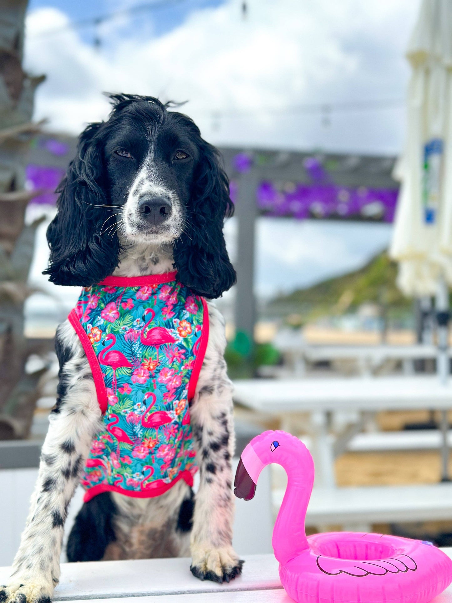 The Paw Print Boutique - The Tropical Pawradise Cooling Vest