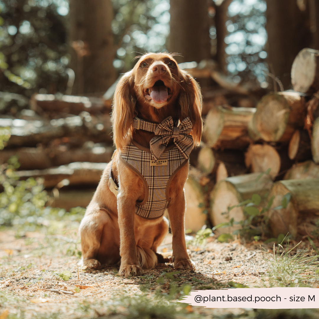 Cocopup London - Pup Plaid Adjustable Neck Harness