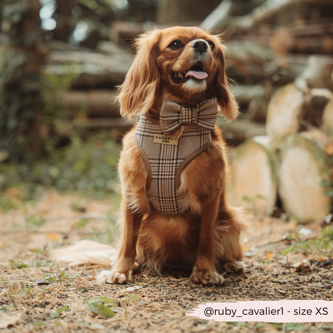 Cocopup London - Pup Plaid Adjustable Neck Harness
