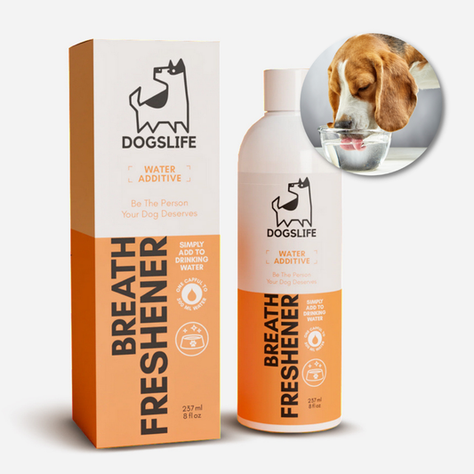 OurPetsLife - Dog Dental Water Additive