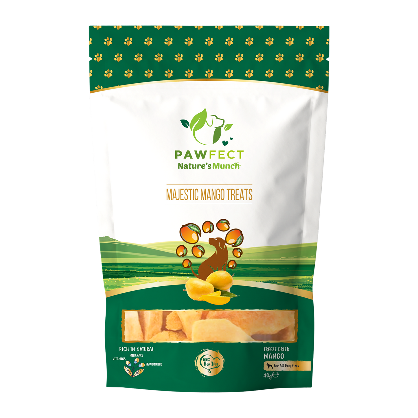 Pawfect Foods -Mango Treats for Dogs