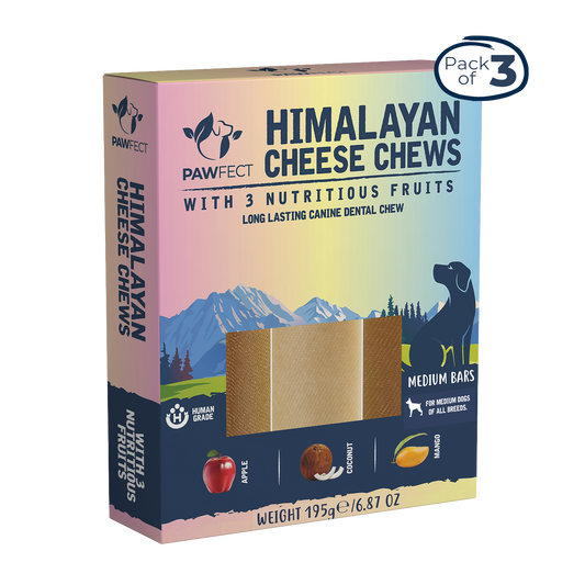 Pawfect Foods - Himalayan Cheese Chews with Apple, Mango & Coconut